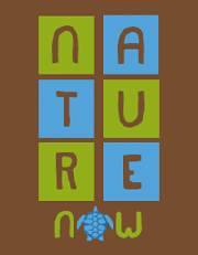 Nature Now International logo